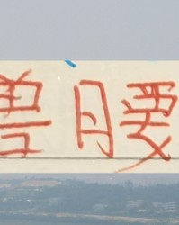 中超各队新赛季魔兽 海港找了非洲外援 武汉找了阿德里亚诺